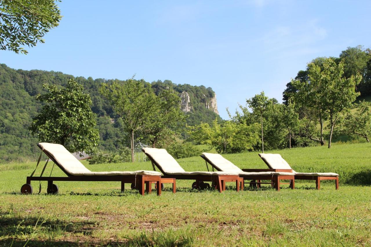 Domaine De Bellevue Gite Du Mont Poupet Marnoz Εξωτερικό φωτογραφία